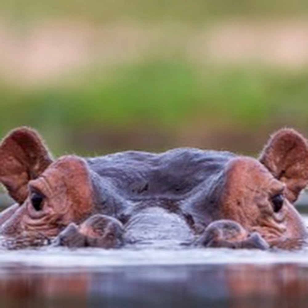 Meet your Posher, Edward